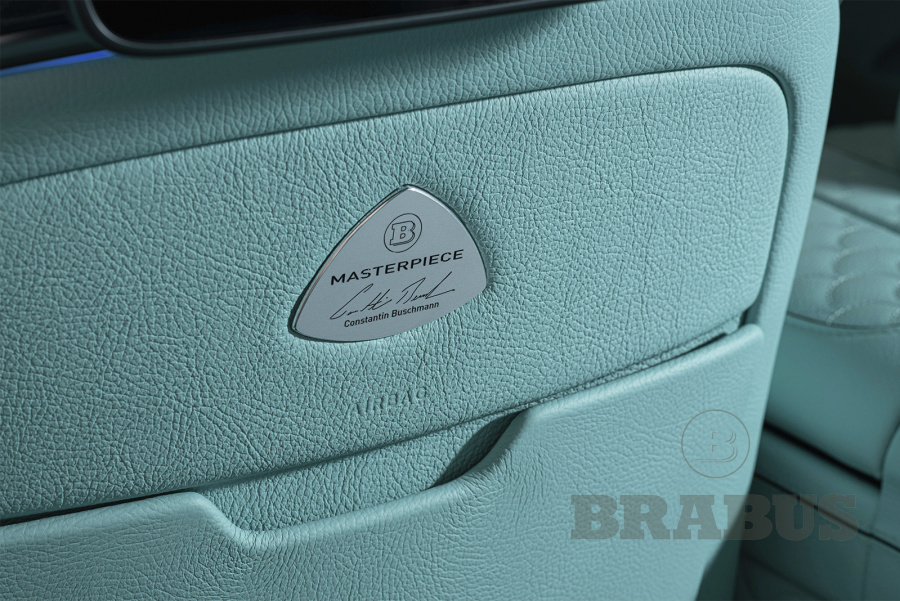 Чехлы спинок передних сидений кожа