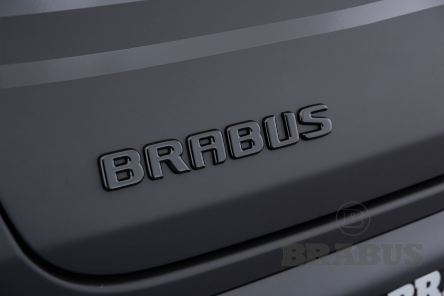 Галерея EQC-class (N293) Standart