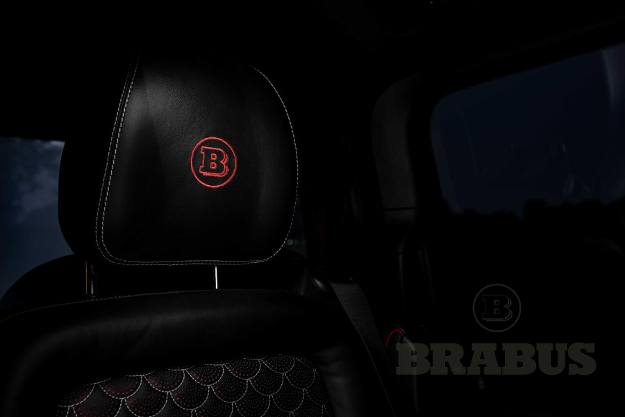 Галерея V-Class (W 477) V 250 - V 300 с 03/2019