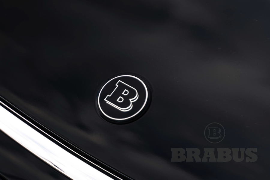 Галерея EQS-class (V297) EQS 450