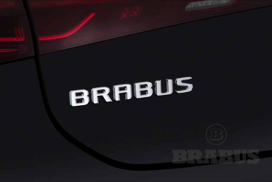 Галерея EQS-class (V297) EQS 450