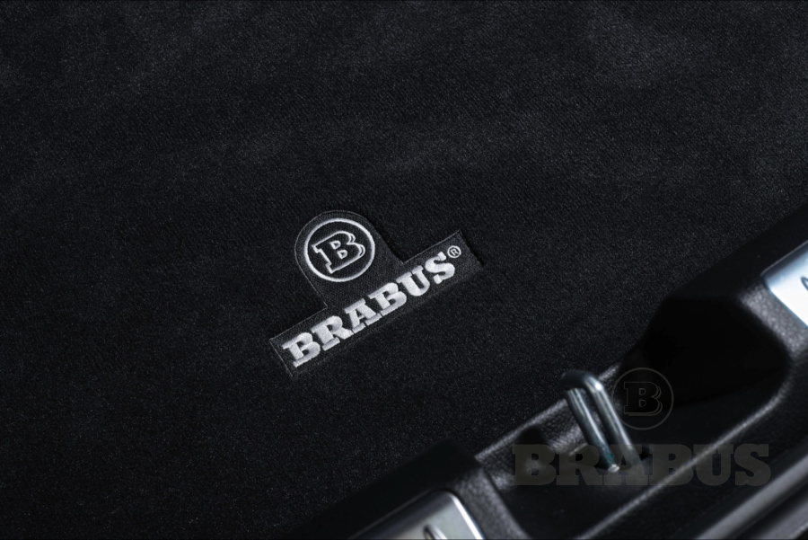 Галерея EQS-class (V297) EQS 450