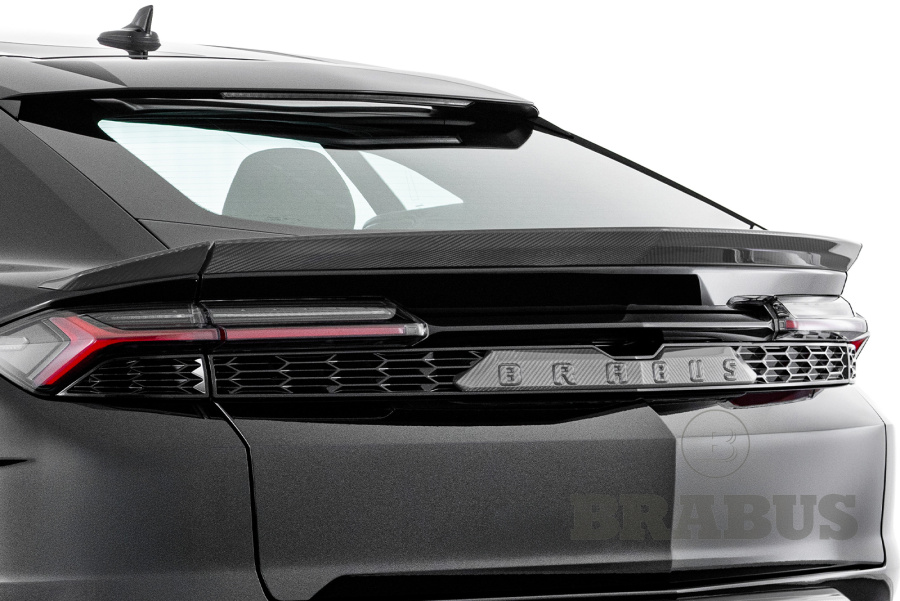 Задний спойлер карбон матовый