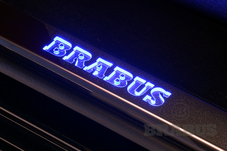 Внутренние пороги с логотипом