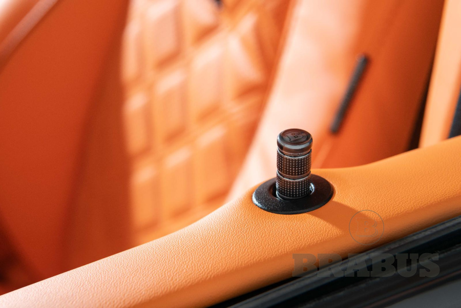 Галерея GLS-Class (X 167M) Maybach