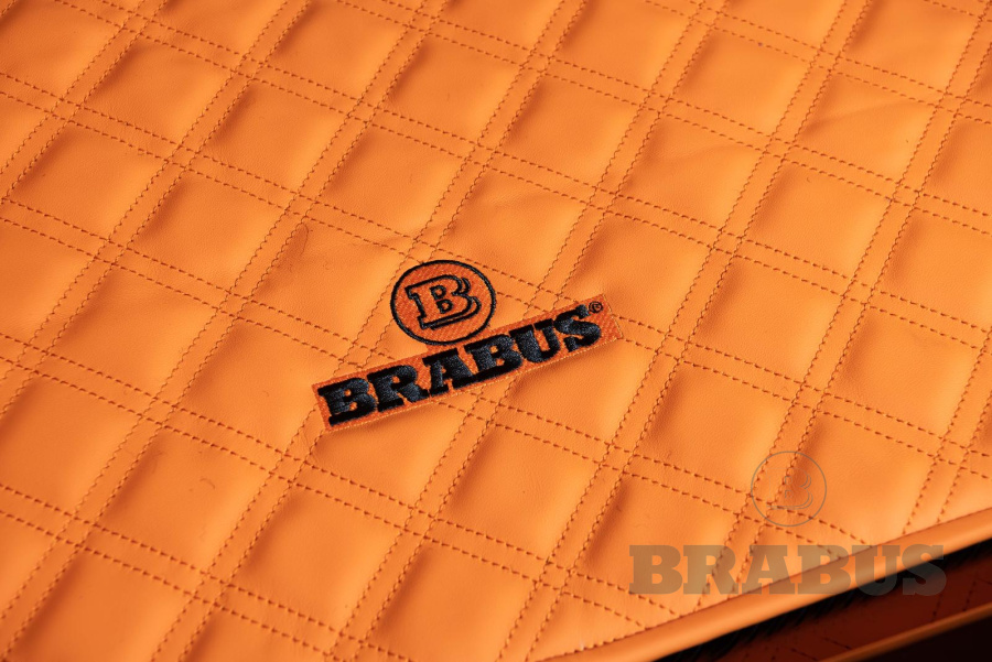 Галерея GLS-Class (X 167M) Maybach