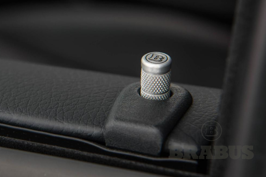 Дверные штифты раздвижной двери BRABUS