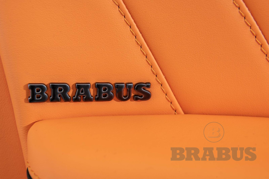 Галерея GLS-Class (X 167M) Maybach