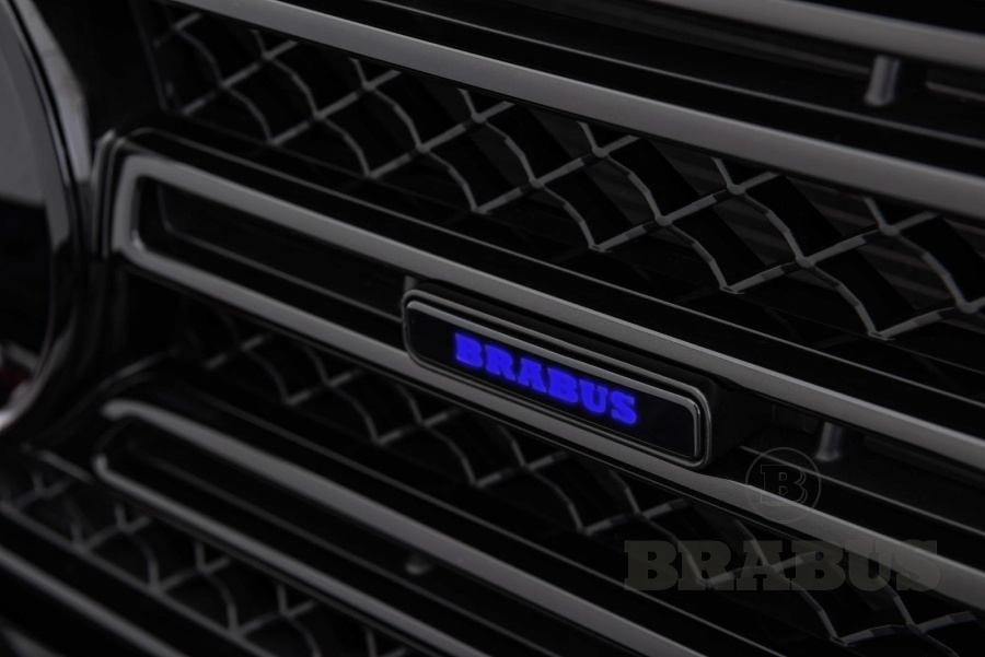 Логотип BRABUS с подсветкой, в решетку радиатора